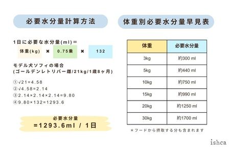 【水分補給／ドッグフード】愛犬のための「（犬用）国産鹿スープ(濃縮タイプ)」ドライドッグフードにかけたり、水分補給に。　国産／犬／ペットフード／ペットグッズ