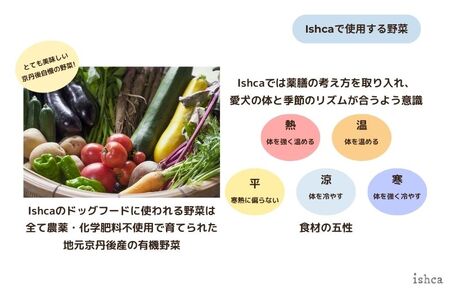 【国産ドッグフード】野菜と鹿肉ドッグフード「ウェットドックフード　スタンダードタイプ」　ウェットドッグフード／無添加／高タンパク／低脂肪／犬／ダイエット／ペットフード／ドッグフード 国産／犬のエサ／餌