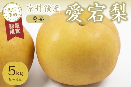 【先行予約／数量限定20】愛宕梨 秀品 5kg（5～8玉入り）（2024年12月上旬～発送）