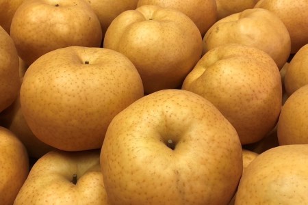 【訳あり】愛宕梨 優品 5kg（5～12玉入り）（2025年11月下旬～発送）