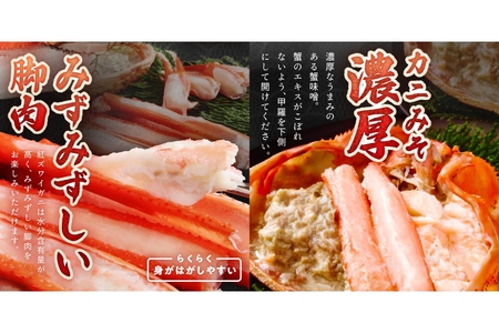 【カニ】採れたて！釜茹で！紅ズワイガニ 2杯 カニ