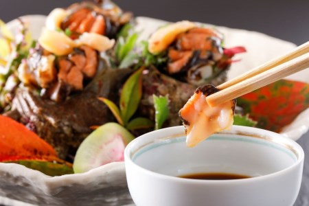 さざえのお刺身（サザエお造り）／お刺身専用！日本海荒波育ち 京都・京丹後産お刺身さざえ8個入 サザエ・刺身・活サザエ冷凍・さざえむき身