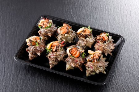 さざえのお刺身（サザエお造り）／お刺身専用！日本海荒波育ち 京都・京丹後産お刺身さざえ8個入 サザエ・刺身・活サザエ冷凍・さざえむき身