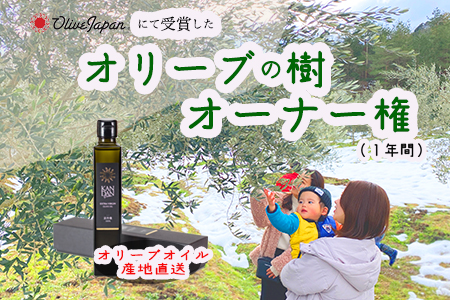 【京都府/オリーブオーナー】【スタンダード】令和5年度オリーブ樹のオーナーになれる
