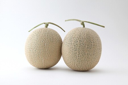 【先行予約】みんな大好き甘～ぃ！京丹後砂丘めろん！ 3玉（2026年7月下旬～発送）