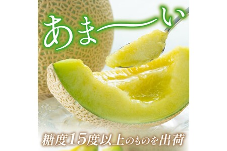 【先行予約／数量限定200】砂姫メロン2玉！大玉2L以上！女性に人気！（2026年6月下旬～発送）