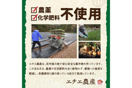 【先行予約】京都 丹後産 甘い有機玉ねぎ 5キロ【有機JAS取得】（2026年6月上旬～発送）