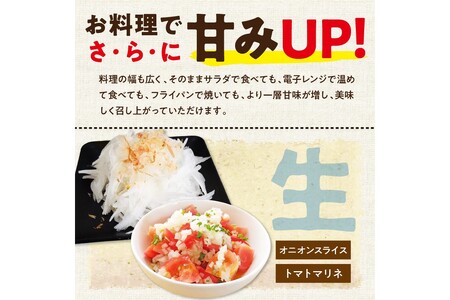 【先行予約】京都 丹後産 甘い有機玉ねぎ 5キロ【有機JAS取得】（2026年6月上旬～発送）