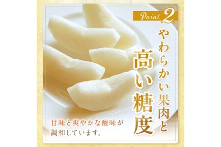【先行予約／数量限定150】京丹後産 新興梨 5kg（8～14玉入り）（2026年10月中旬～発送） | 梨