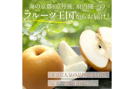 【先行予約／数量限定150】京丹後産 新興梨 5kg（8～14玉入り）（2026年10月中旬～発送） | 梨