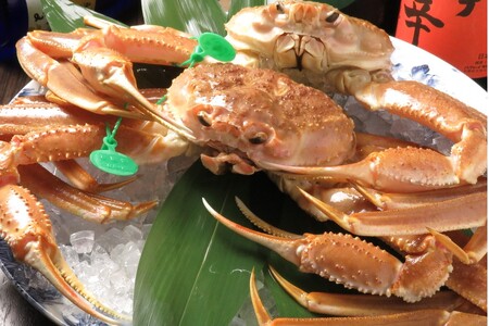 【幻のズワイ蟹】京丹後産 茹で間人蟹 鮮度抜群、釜茹でにてお届け！！ 800g級×2杯