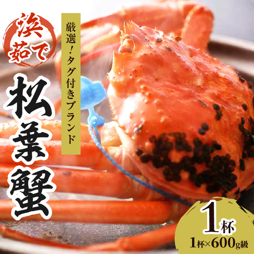 【厳選!!タグ付きブランド】 茹で松葉かに(中) 鮮度抜群、浜茹でにてお届け!! 600g級×1杯 国産 海産物 甲殻類 かに ずわいがに 松葉かに 茹で ボイル 京都 京丹後 海鮮 ふるさと納税 かに まつばがに 松葉ガニ 海祥 送料無料