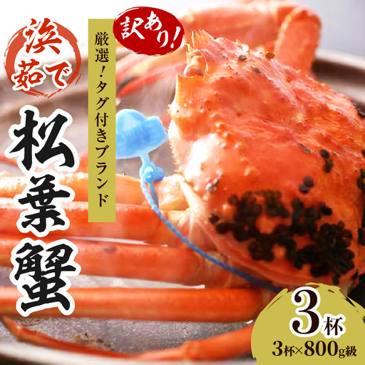 【訳あり！！タグ付きブランド】　茹で松葉かに　鮮度抜群、浜茹でにてお届け！！ 800g級（足1本落ち）×3杯 ふるさと納税 かに 京都 京丹後 海鮮 まつば蟹 まつばがに 松葉ガニ 海祥
