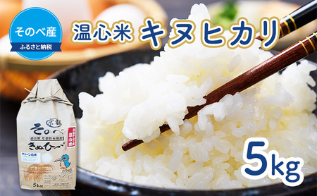 米 キヌヒカリ 5kg ×1袋 そのべ産 温心米 2025年度産 お米 単一原料米 きぬひかり 丹波 精米 白米 こめ コメ 京都