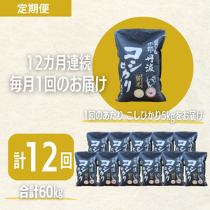 定期便 12ヶ月 令和7年産 こしひかり 京都丹波産 5kg 米 白米 精米 お米 こめ コメ コシヒカリ 精米したて 特A 特A米 令和7年 ご飯 ごはん 12回 1年 お楽しみ 京都 京都府 南丹市