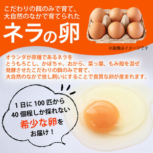 【定期便12回】野菜セット ネラの卵6個入り