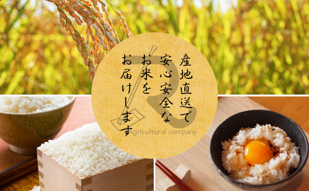 令和7年産 にじのきらめき 10kg  京都丹波産 良心米 米 白米 ごはん