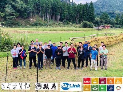 定期便 6回　料理旅館きぐすりや　令和7年産 　特別栽培米キヌヒカリ 5kg