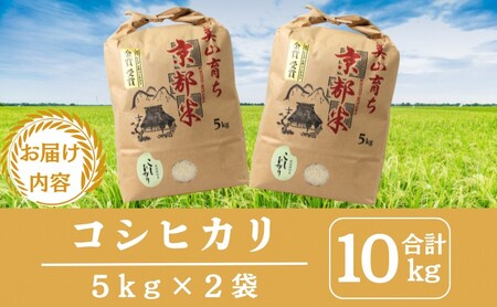 令和8年産新米予約 京都丹波産コシヒカリ 10kg お米 京都府産 新米 精米 おいしい 美山 