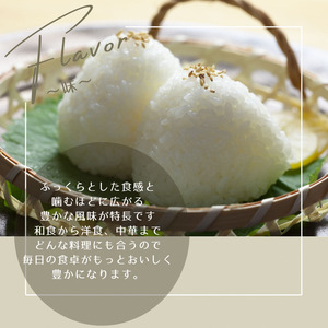 令和7年産 京都丹波産 コシヒカリ 10kg　白米