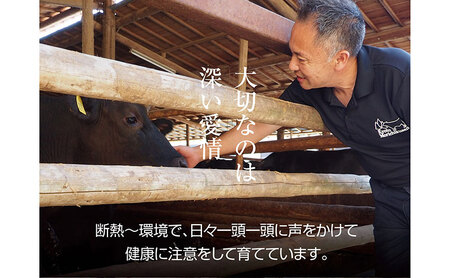 京都もり牛 赤身 焼肉 1kg モモ・ウデ