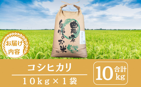 令和7年産新米 京都丹波産コシヒカリ 10kg 米 こしひかり 精米