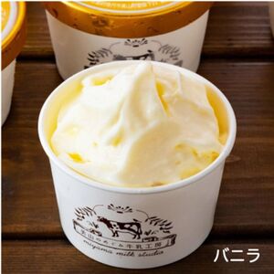 美山牛乳 カップジェラート 10個 詰め合わせセット | デザート お菓子 スイーツ 冷凍 ギフト 南丹市