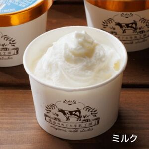 美山牛乳 カップジェラート 10個 詰め合わせセット | デザート お菓子 スイーツ 冷凍 ギフト 南丹市