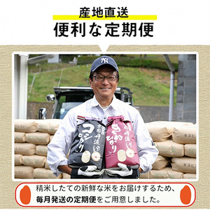 【4カ月定期便】令和7年産 新米 京都丹波産 こしひかり 5kg 合計20kg