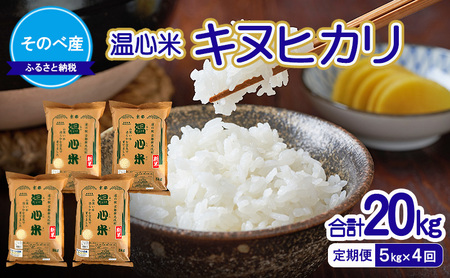 【定期便】キヌヒカリ5kg×4回　合計20kg　令和7年度産　そのべ産 温心米　米 20kg 単一原料米 きぬひかり 丹波 精米 白米 こめ コメ 京都 25,200円