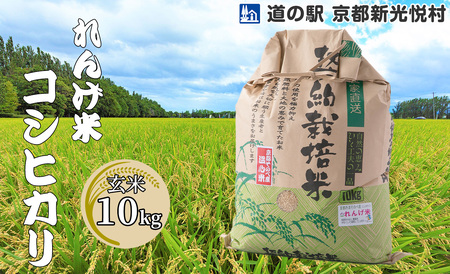016N60 れんげ米コシヒカリ「玄米」10kg[高島屋選定品］