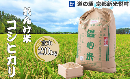 032N69 れんげ米コシヒカリ「玄米」20kg[高島屋選定品］