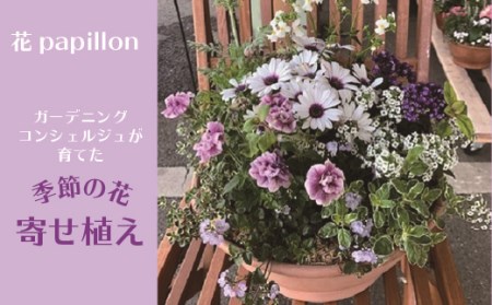 季節の花 寄せ植え・ガーデニングエプロン・八木町産こしひかり10kg[高島屋選定品］京都・南丹市八木町　055N347 