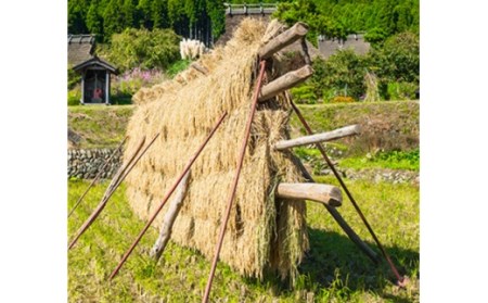 【新米】【京都丹波 西村farm】京都丹波産こしひかり 西村ファームの京ほたる米 5kg[高島屋選定品］016N520 【令和6年産新米】