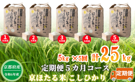 【定期便5カ月コース】京都丹波産こしひかり 西村ファームの京ほたる米 5kg×5回計25㎏[高島屋選定品］076N607 