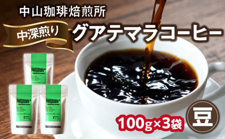 自家焙煎コーヒー 中深煎り グアテマラ 100g×3袋【豆】 中山珈琲焙煎所 056-15-01