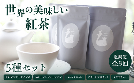 【全3回定期便】世界の美味しい紅茶５種セット  010-03-T2