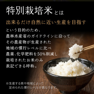 【定期便2か月】特別栽培米 京都府木津川市産ひのひかり 玄米30kg(15kg×2回） 毎日の健康に 053-37