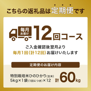 【定期便12か月】特別栽培米 京都府木津川市産ひのひかり 玄米60kg(5kg×12回） 毎日の健康に 053-42