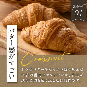 【全2回定期便】よつ葉バターの香り♪酵母クロワッサン１０個 065-06-T01