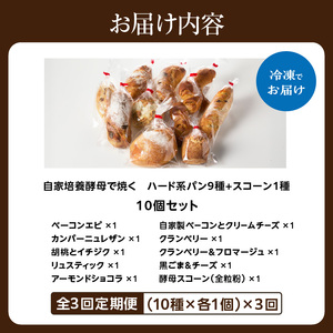 【全3回定期便】選べる回数！自家培養酵母で焼くハード系パン9種＋スコーン1種セット！065-04-T02