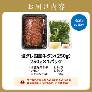 「京都人気焼肉店」貴重!塩ダレ国産牛タン 九条ネギレモン付き 250g 093-39