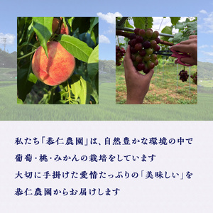 京都産シャインマスカット･ナガノパープル ジャム2種セット 106-01 | ジャム