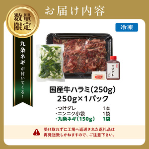 今だけ数量限定！九条ネギ付き！肉汁溢れる 国産牛ハラミ 250g 093-42-P