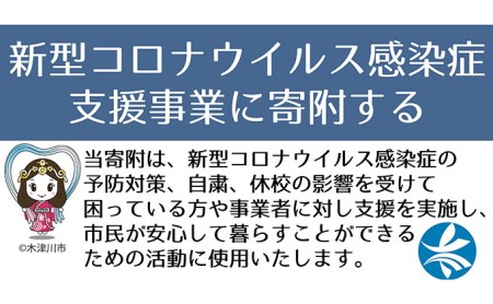 新型コロナウイルス感染症対策 支援事業寄付金 1万円 返礼品なし 京都府木津川市 ふるさと納税サイト ふるなび