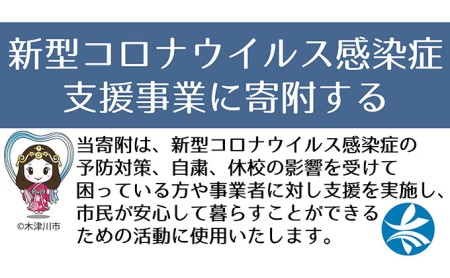 新型コロナウイルス感染症対策 支援事業寄付金 5万円 返礼品なし 京都府木津川市 ふるさと納税サイト ふるなび