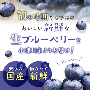 2025年発送 先行予約 木津川市産ブルーベリー2kg 生ブルーベリー 新鮮 ブルーベリー 国産ブルーベリー 果物  小分け ヨーグルト ジャム スムージー 冷蔵お届け 安心国産 摘みたて新鮮 京都府 木津川市 080-03