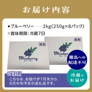 2025年発送 先行予約 木津川市産ブルーベリー2kg 生ブルーベリー 新鮮 ブルーベリー 国産ブルーベリー 果物  小分け ヨーグルト ジャム スムージー 冷蔵お届け 安心国産 摘みたて新鮮 京都府 木津川市 080-03