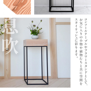 HITTITEの天板が分厚いシリーズ "The High" コンソールテーブル インテリア テーブル コンソールテーブル フラワースタンド 無垢材 ヒッタイト　063-03