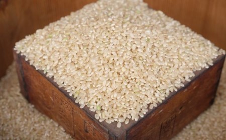 ＜京都山城産＞とれたてヒノヒカリ(玄米　10kg)送ります　058-04